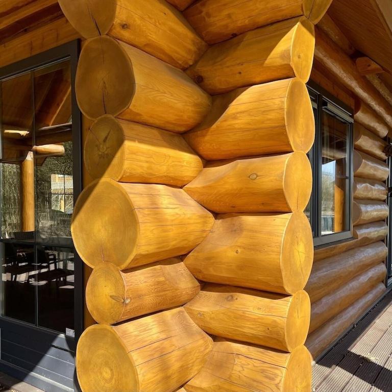 Unieke Houten Villa Met Sauna In Twente - 5P Den Ham Eksteriør bilde